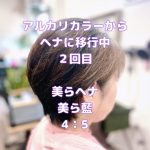 ＃ヘアカラーかゆい　＃アルカリカラーから美らヘナに移行中　＃配合は経験値　＃発色を予測する経験値